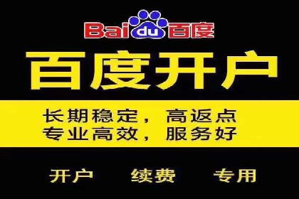 百度推广的精准定向技术案例